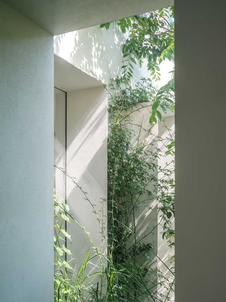 Forest Villa